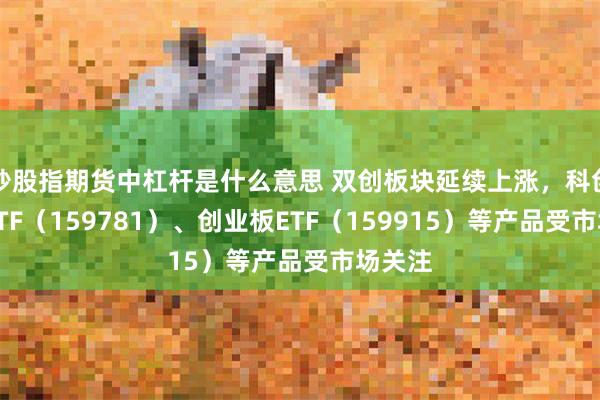 炒股指期货中杠杆是什么意思 双创板块延续上涨，科创创业ETF（159781）、创业板ETF（159915）等产品受市场关注