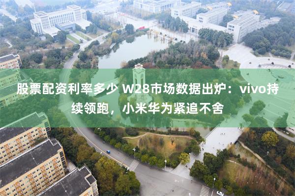 股票配资利率多少 W28市场数据出炉：vivo持续领跑，小米华为紧追不舍