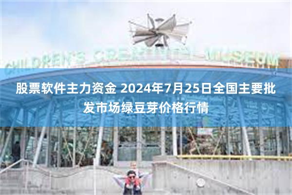 股票软件主力资金 2024年7月25日全国主要批发市场绿豆芽价格行情