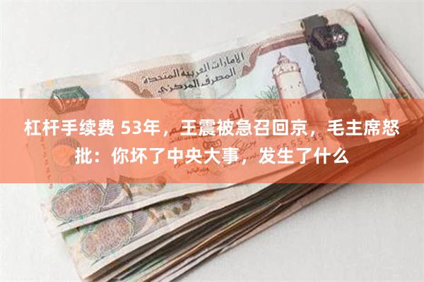 杠杆手续费 53年，王震被急召回京，毛主席怒批：你坏了中央大事，发生了什么