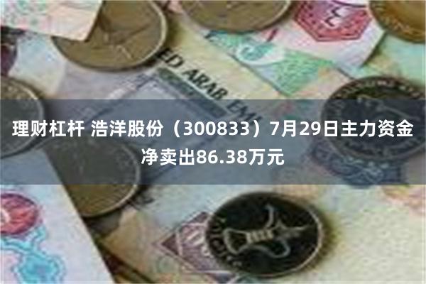 理财杠杆 浩洋股份（300833）7月29日主力资金净卖出86.38万元