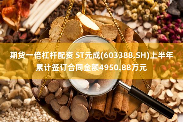 期货一倍杠杆配资 ST元成(603388.SH)上半年累计签订合同金额4950.88万元