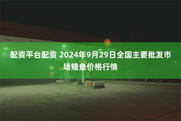 配资平台配资 2024年9月29日全国主要批发市场鳗鱼价格行情