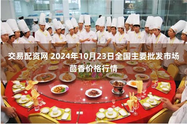 交易配资网 2024年10月23日全国主要批发市场茴香价格行情