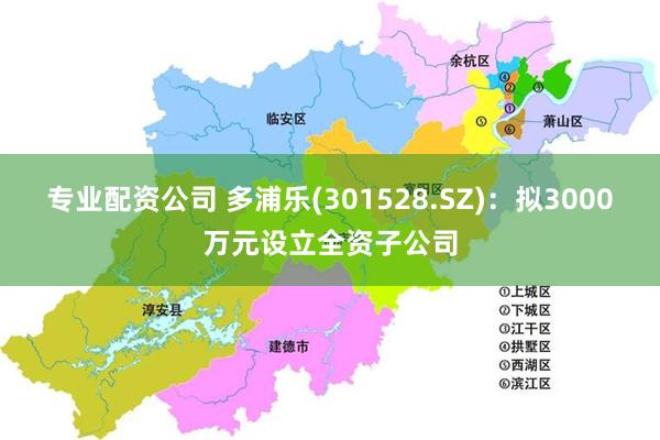 专业配资公司 多浦乐(301528.SZ)：拟3000万元设立全资子公司