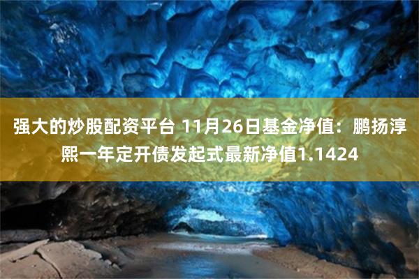 强大的炒股配资平台 11月26日基金净值：鹏扬淳熙一年定开债发起式最新净值1.1424