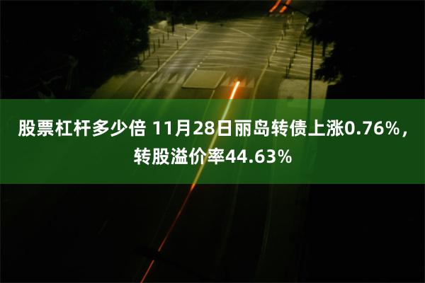 股票杠杆多少倍 11月28日丽岛转债上涨0.76%，转股溢价率44.63%