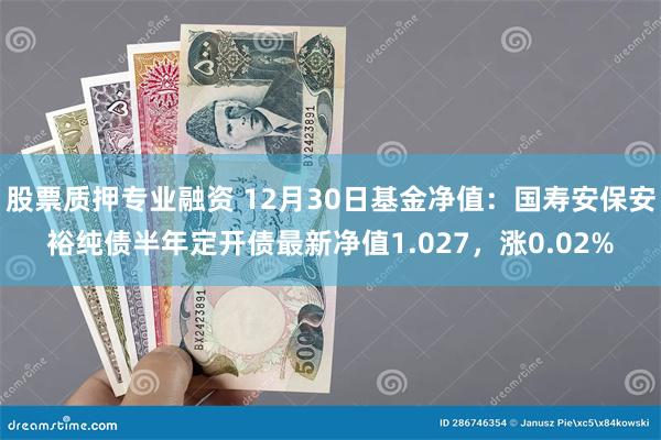 股票质押专业融资 12月30日基金净值：国寿安保安裕纯债半年定开债最新净值1.027，涨0.02%