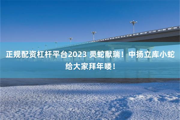 正规配资杠杆平台2023 灵蛇献瑞！中扬立库小蛇给大家拜年喽！